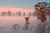 Lake Martin Sunrise Fog_26049